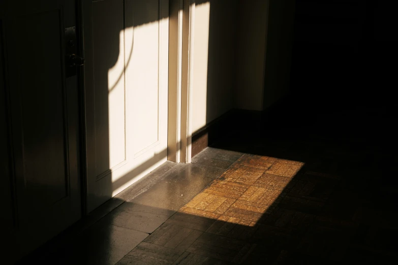 sunlight shining into the room through the doors