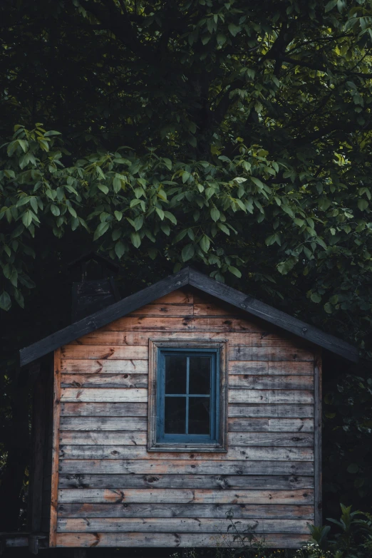 a small wooden cabin with a big tree in the background