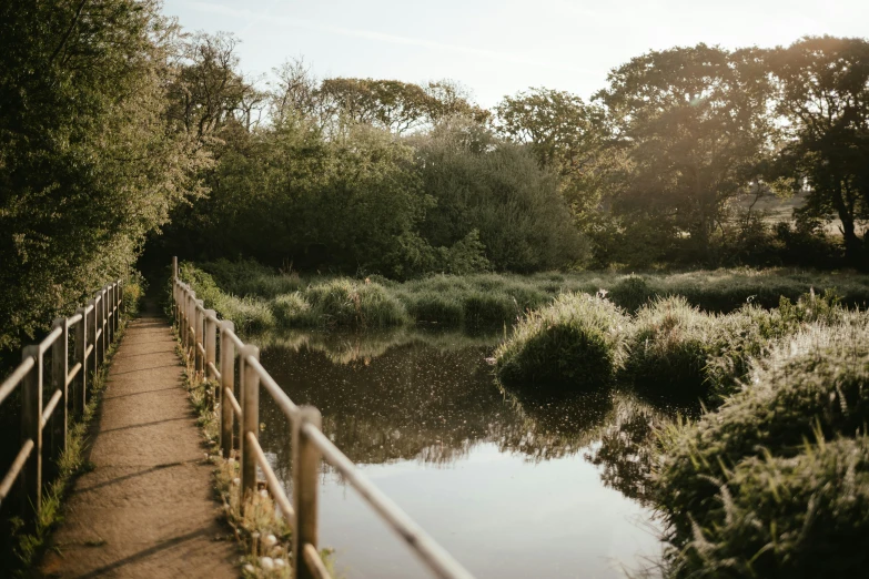 a small river with a path and a bridge on it