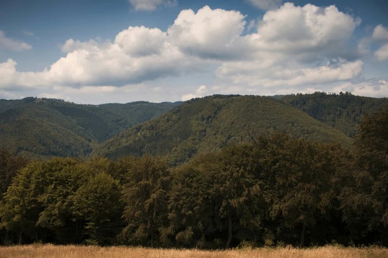 some trees and mountain with some white clouds