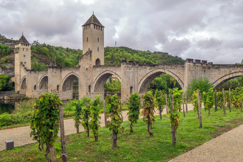 an old stone bridge with arches and trees growing on the ground