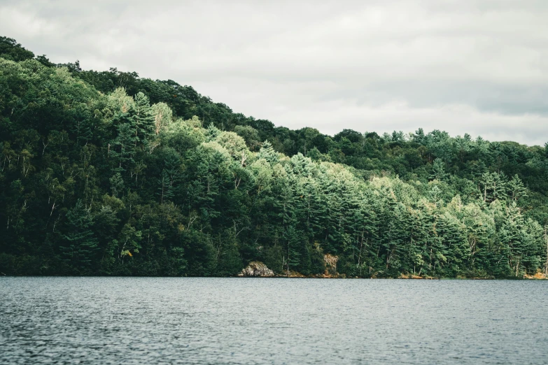 trees in the background on a lake with a boat in it