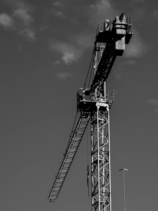 a black and white pograph of a crane against a grey sky