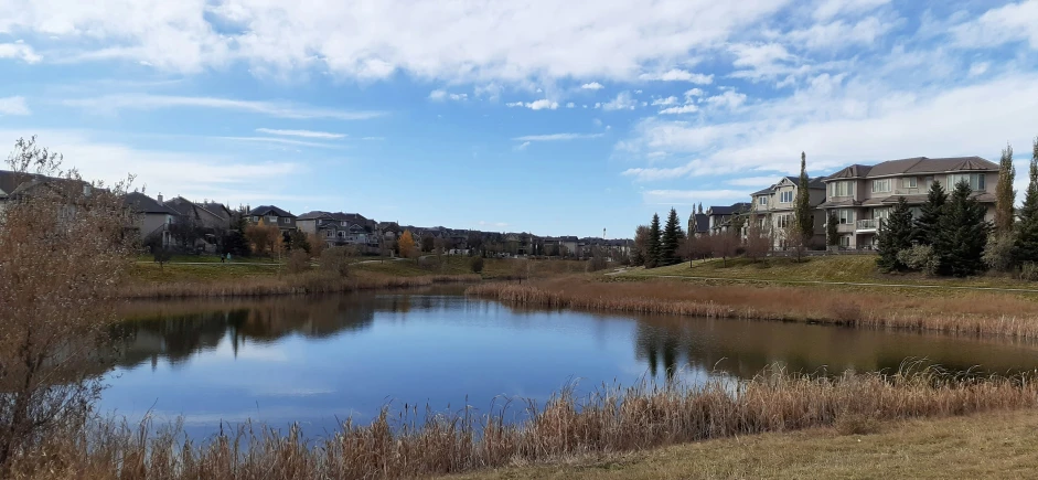 water and land on a clear day with houses in the distance