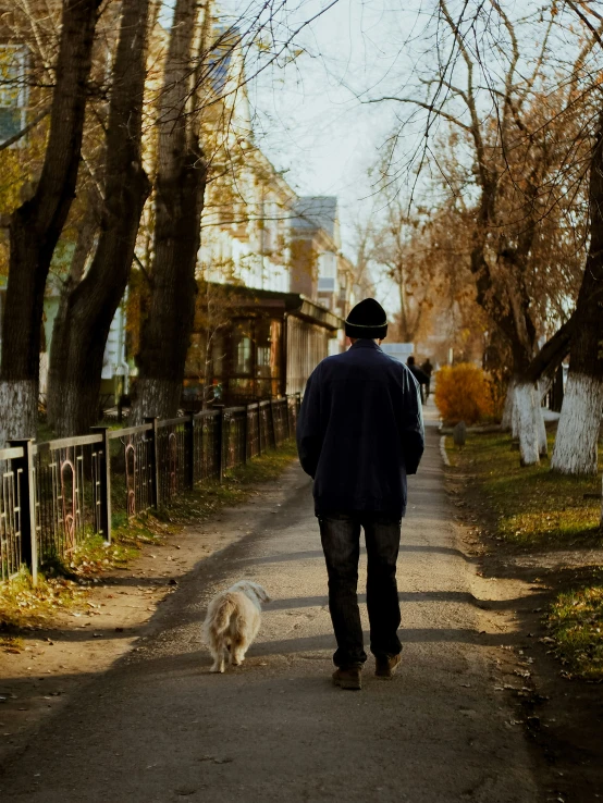 a person with a hat walking a white dog down a path