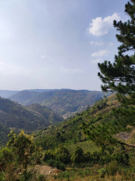 the mountain is very high above and green