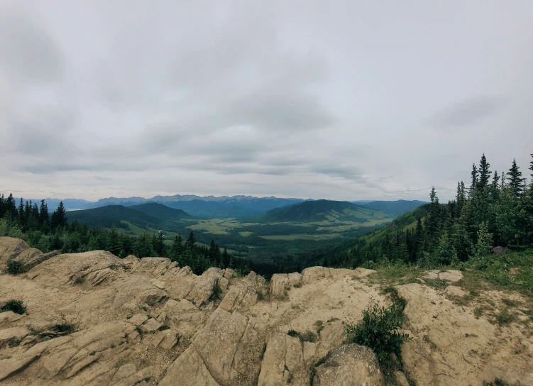 mountains in the distance with sp, grassy trees