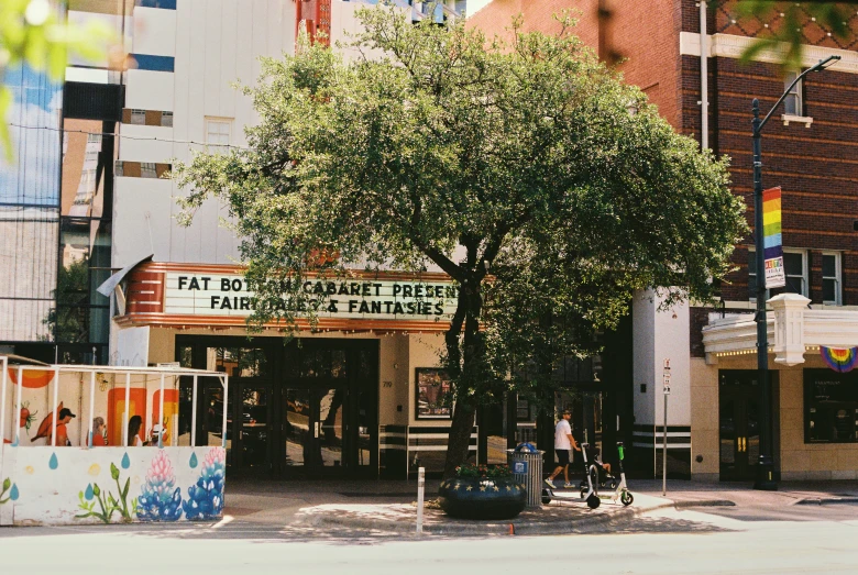 this is a tree near some sort of theater