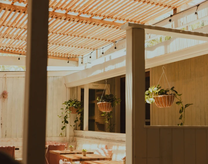 a restaurant with plants hanging from the roof