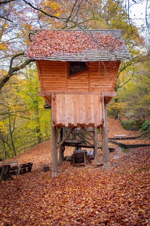 a wooden structure with red roof surrounded by fallen leaves