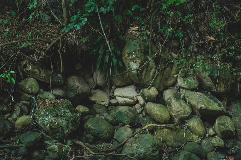 large green rocks in front of plants and trees