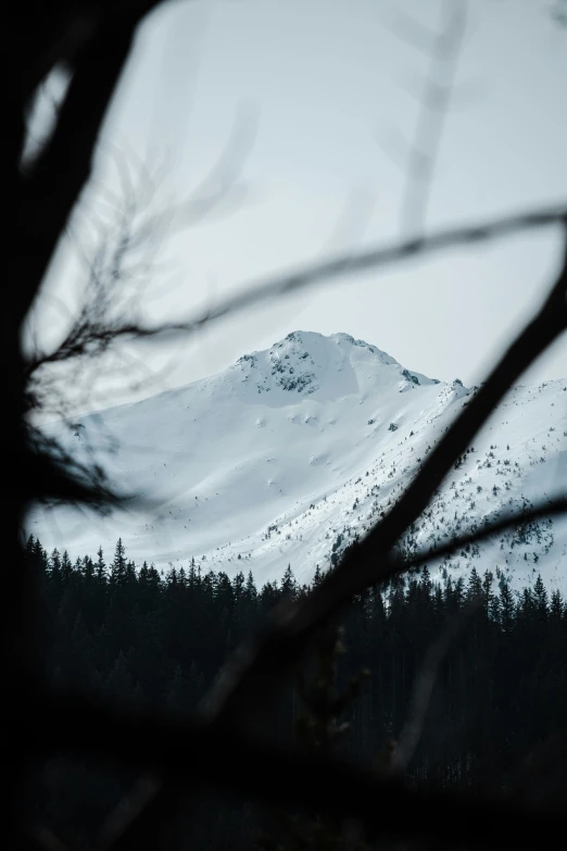 a mountain seen through some nches