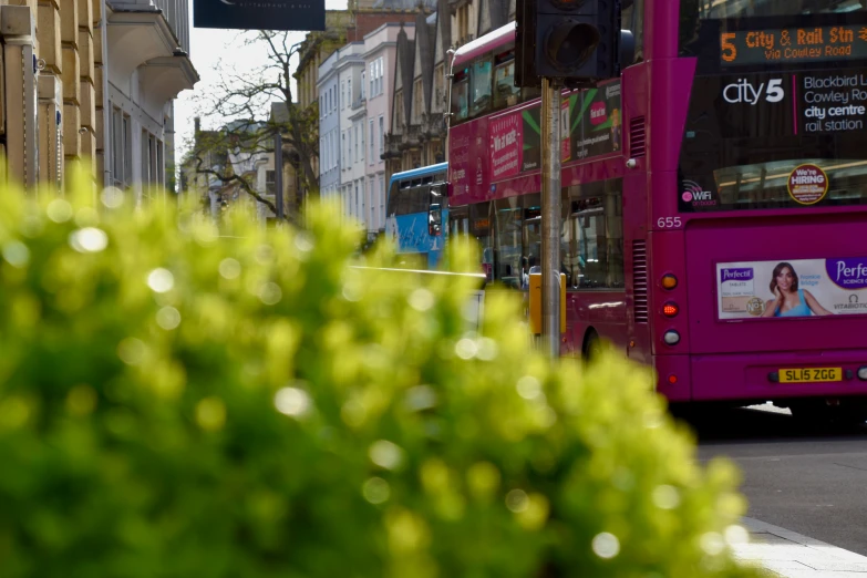 a double decker bus is parked at the curb