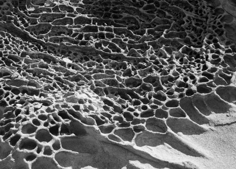 the textured sand in this black and white po