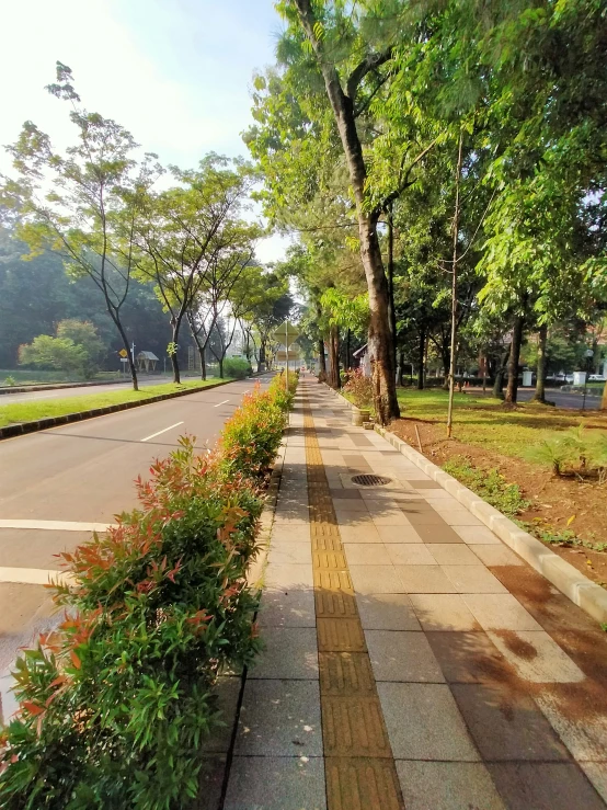 the side walk is lined with flower planters