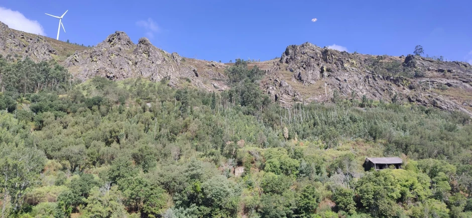 a mountain side has grass, trees and a wind mill on it