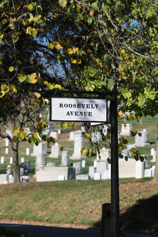 a street sign with the names of two streets