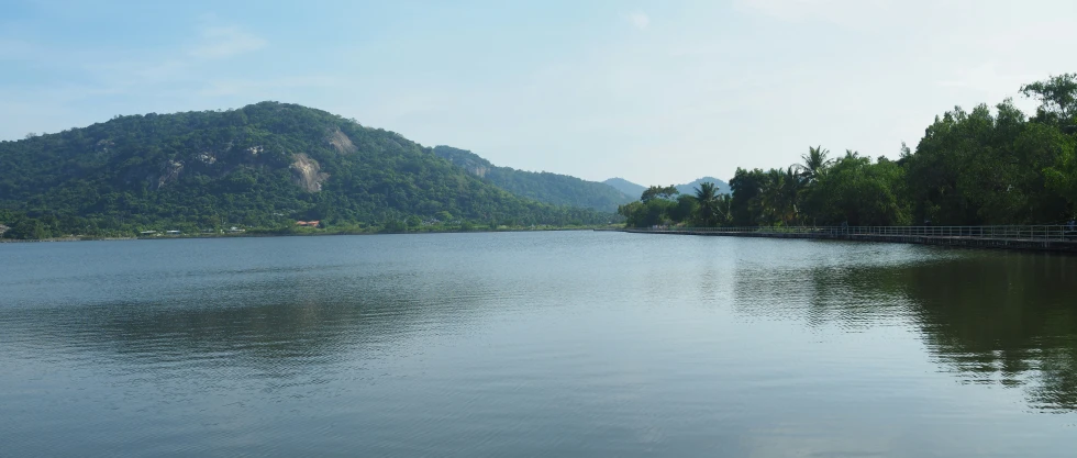 the calm river has green trees in it