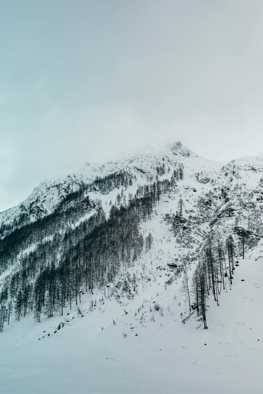 a very tall snowy mountain with trees on top