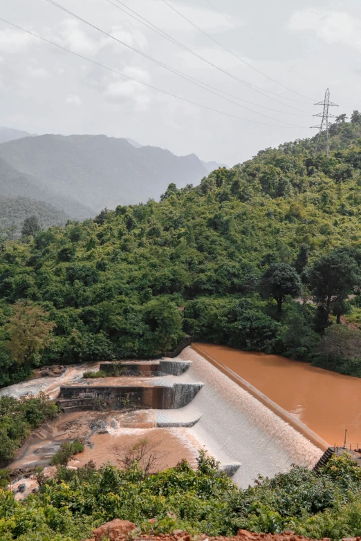 a small dam in a valley in a green forest