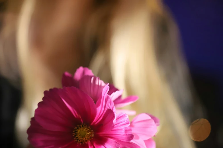 the beautiful pink flowers are near the blonde hair