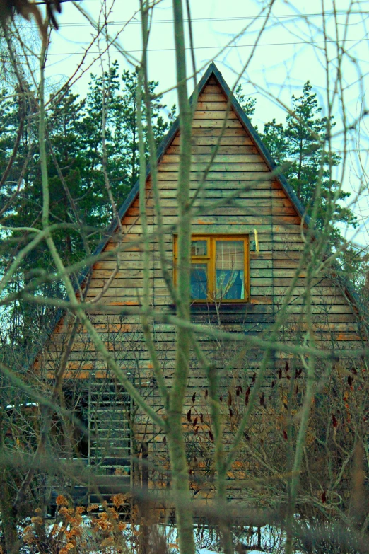 a view through the nches of some trees of a house