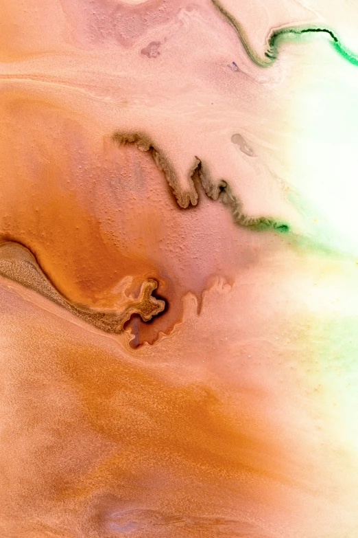 a snake standing in sand next to the water