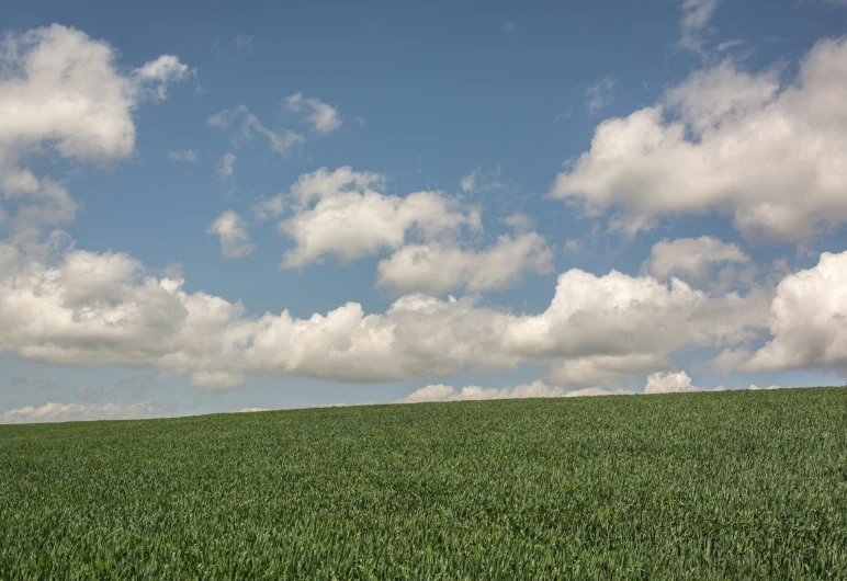 a red and white kite is flying over the grass