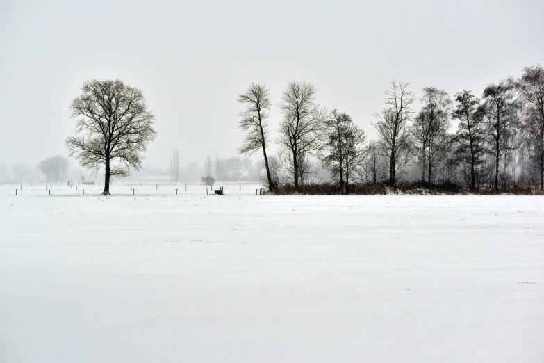 a snowy field with trees and small snow covered ground