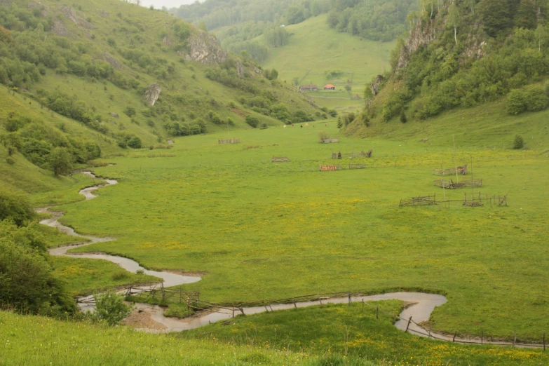 there is a lush green valley with lots of flowers