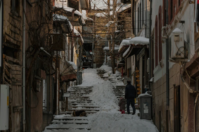 a man with a suitcase walks up a snowy path