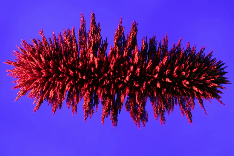 an abstract purple and red plant on a blue sky background
