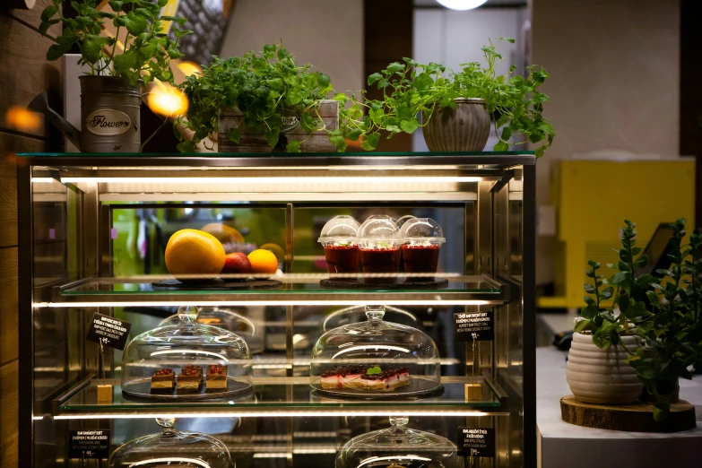 a display case containing two trays with food in it