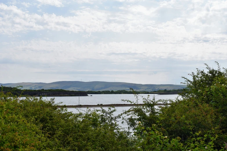 a large body of water surrounded by woods