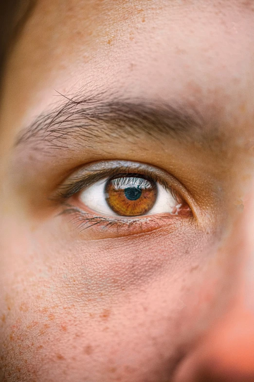 an orange eye peers straight at the camera