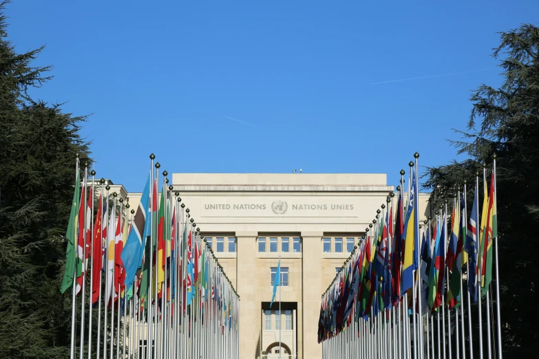 there are a lot of flags in front of the building