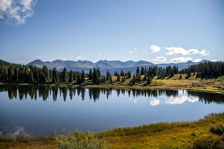 a large body of water with trees on the side