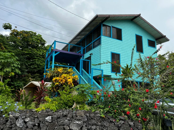 a house with a blue color has plants around