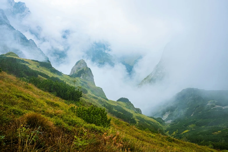 fog and low lying clouds are in the air