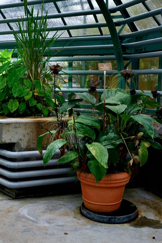 there are many potted plants growing on this bench