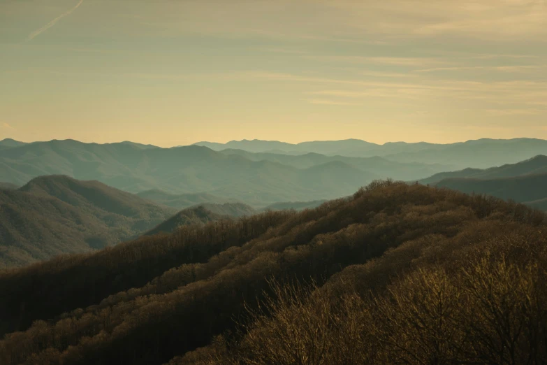 a view of mountains with trees on them