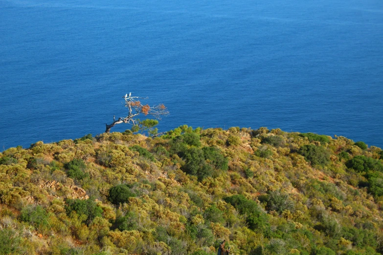 a bench on top of a hillside near water