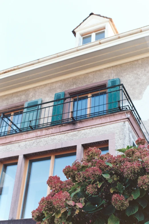 a balcony and windows with shutters and flowers