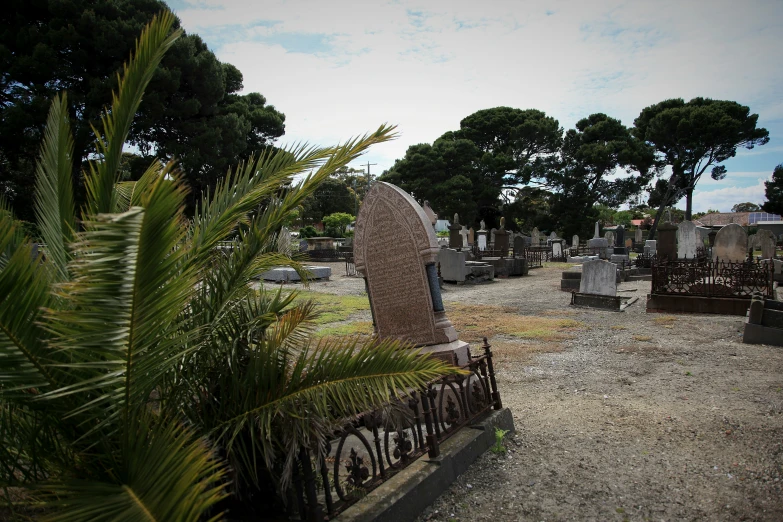 a cemetery with some plants and a few tombstones