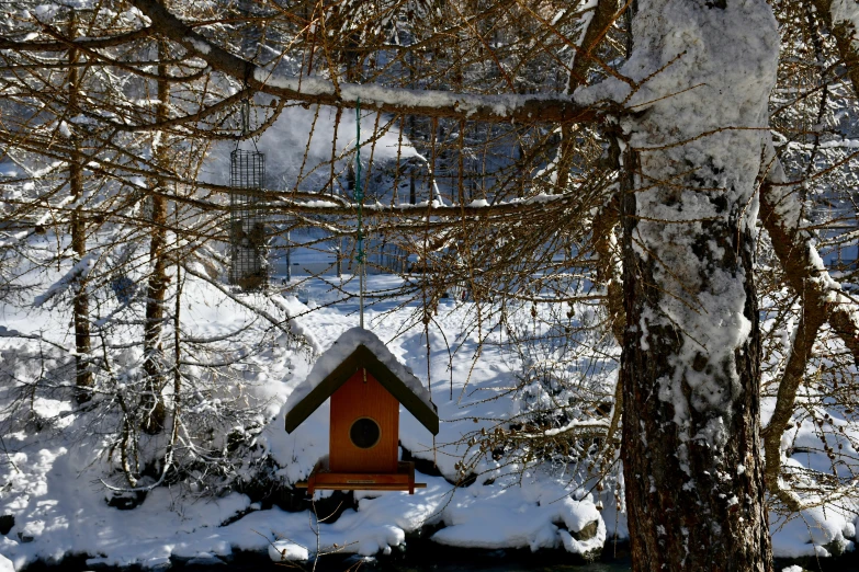 a birdhouse in the winter surrounded by trees