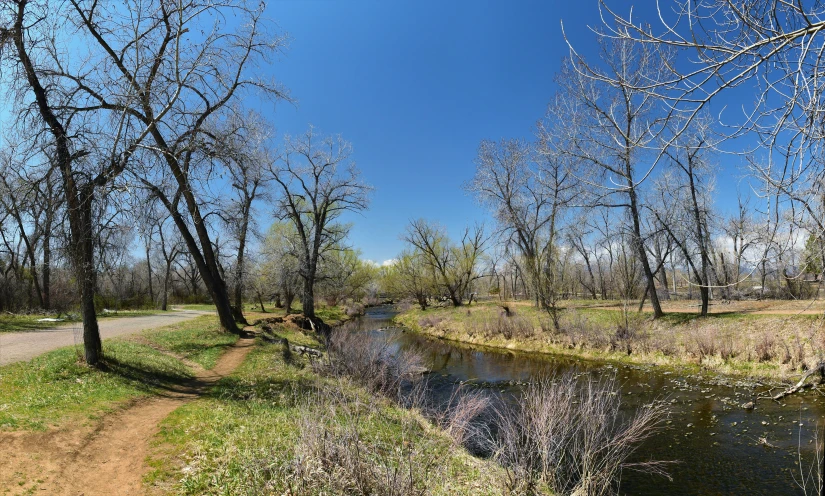 a dirt trail with a creek running through it