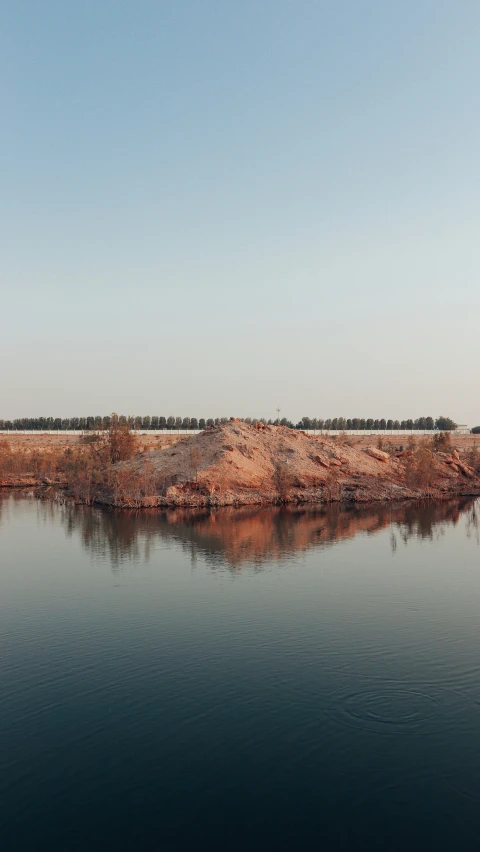 a river with a group of trees in the middle