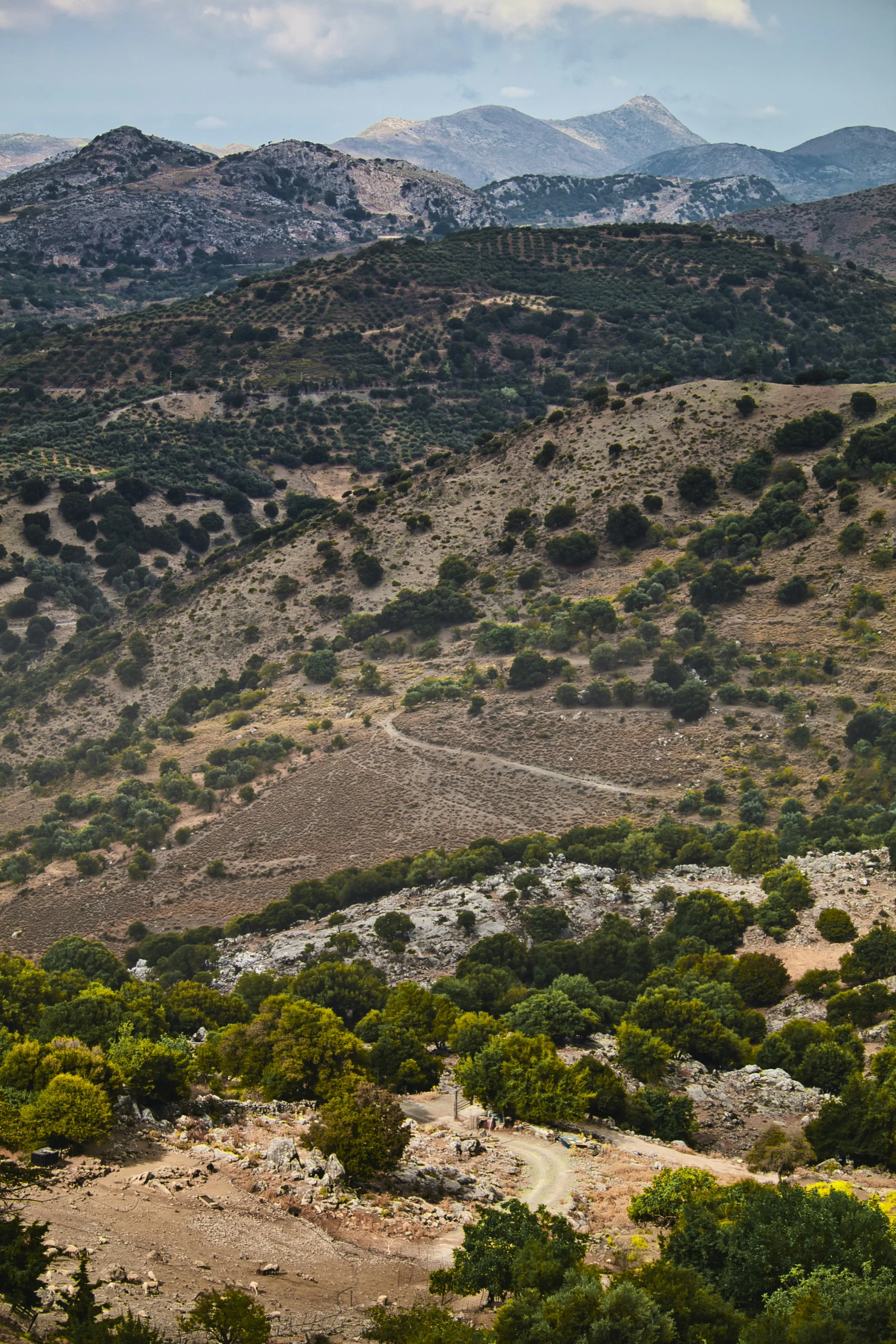 the top of the mountains are mostly dry