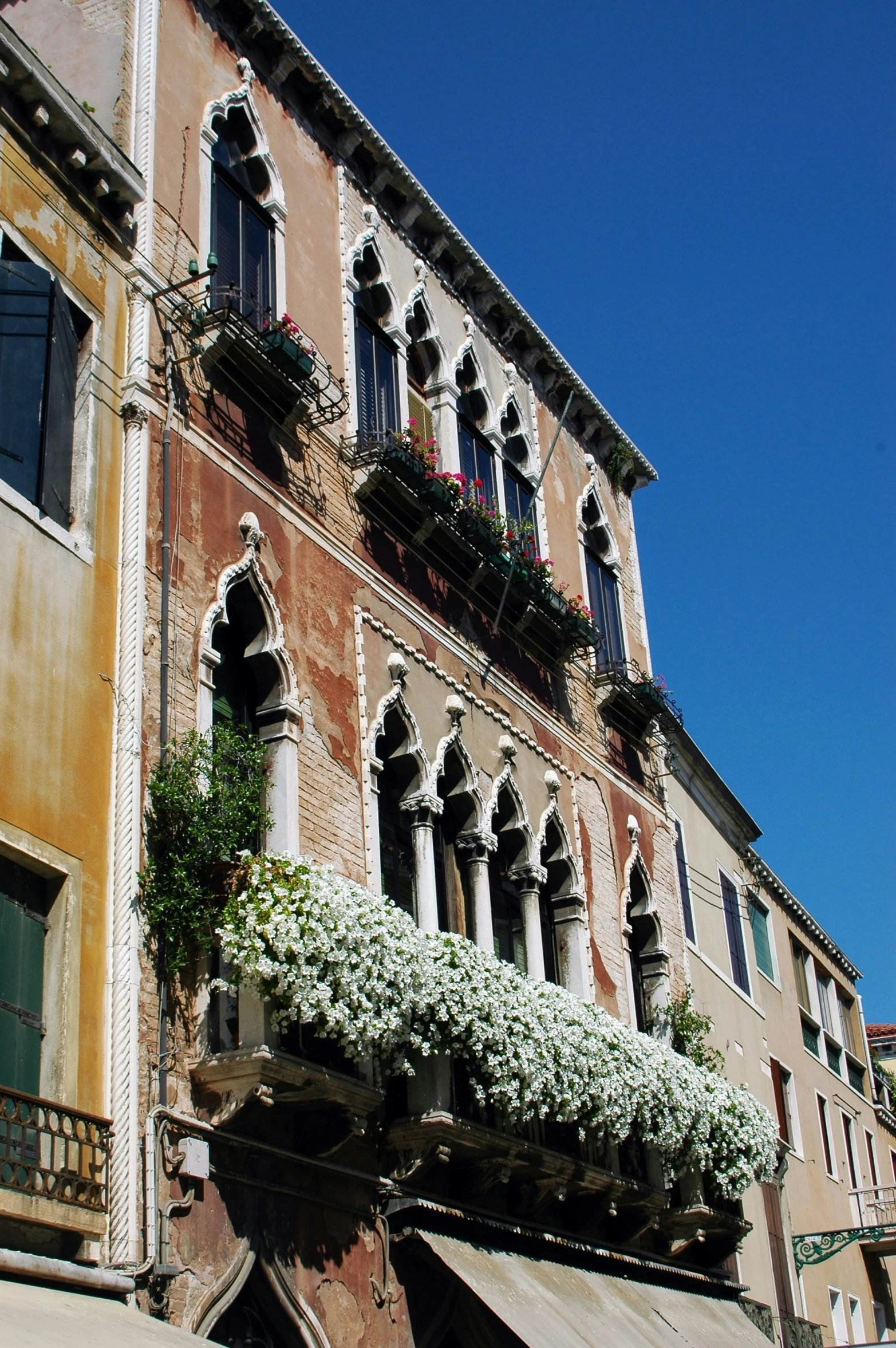 a building with many windows and plants growing on it