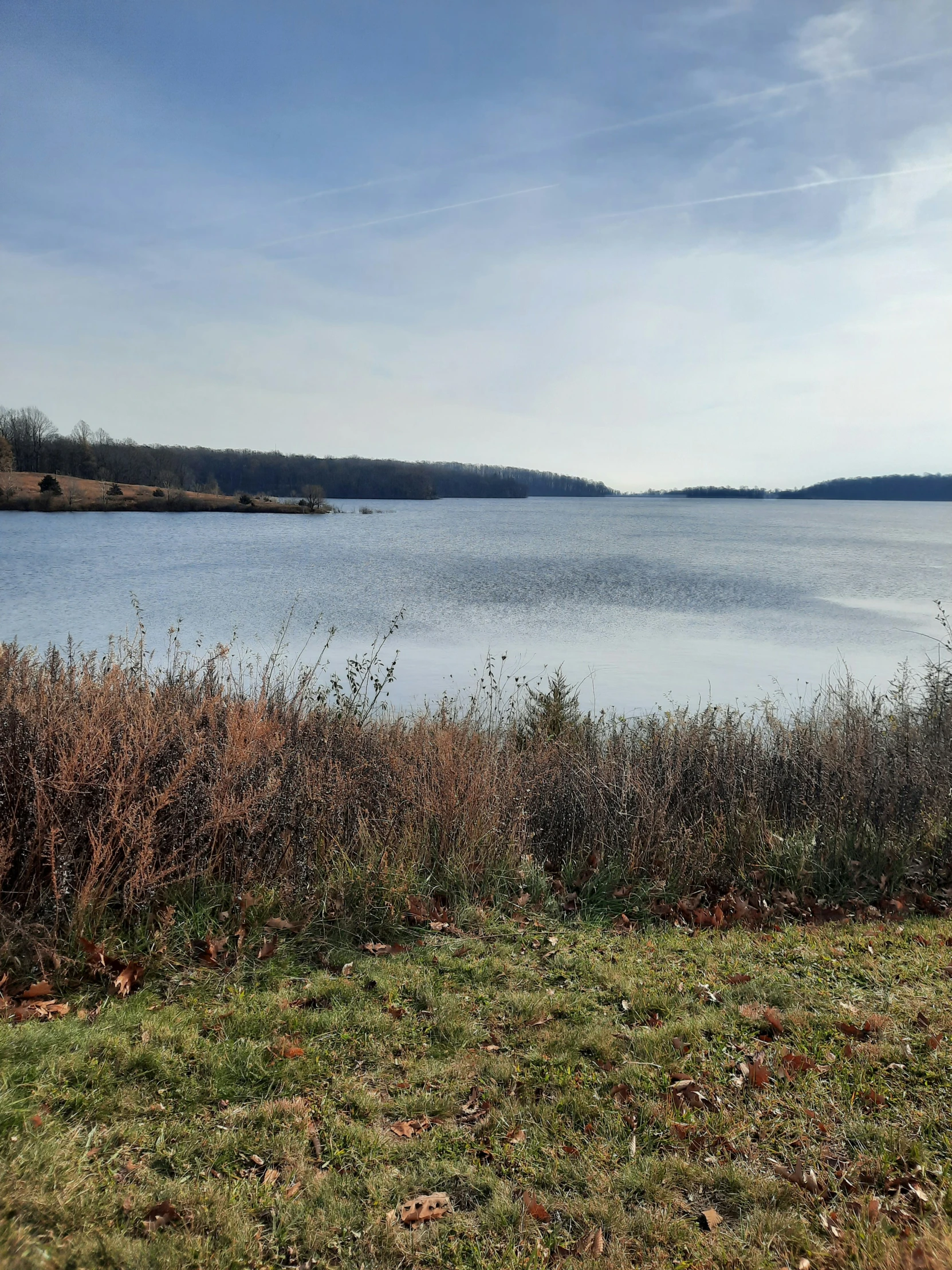 the water is calm on this day, and it has thick vegetation and blue skies above